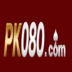 PK080 Game